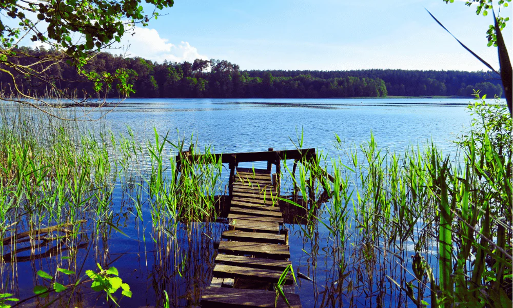 Najlepsze atrakcje dla dzieci w Węgorzewie